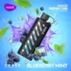 vozol-gear-shisha-25000-blueberry-mint-blast-in-background